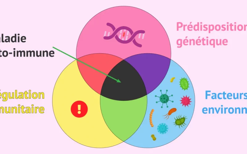 Illustration montrant trois cercles qui se superposent en partie ; un en rose représente les prédispositions génétiques, un autre en bleu les facteurs environnementaux et le dernier en jaune la régulation immunitaire. Une flèche indique qu'une maladie auto-immune se déclenche là où les trois cercles se surperposent.